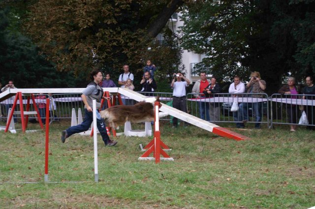 foire-haricots 2011-09-17et18